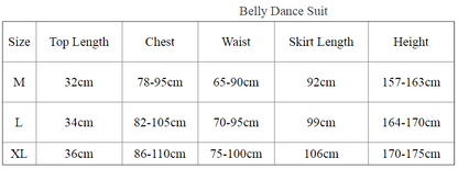 New Belly Dance Costume Female Elegant Goddess Oriental Dance Pop Song Training Suit For Women Bellydancing Clothing Top Skirt