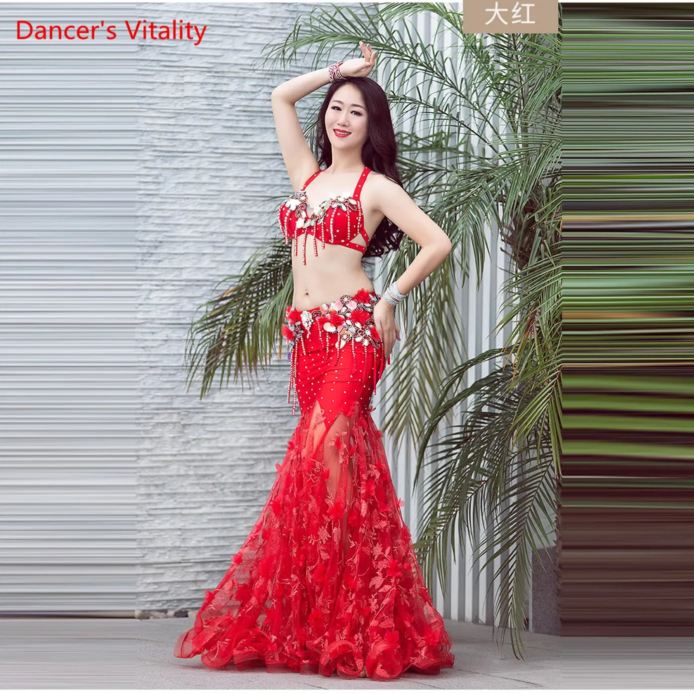 Luxury Diamond Oriental Dance Outfit Women Piece 2 Performance Belly Dance Performance Bra+long Skirt Sexy Red White