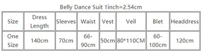 Belly Dance Costume Dress Oriental Bellydance Dress Palace Silk Folk Custom Muwashahat Robe Show for Women Competiton Robes