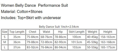 Belly Dance Practice Clothes Female Oriental Dance Top+sleeves+long Skirt 3pcs for Women Belly Dancing Outfit Bellydance Set