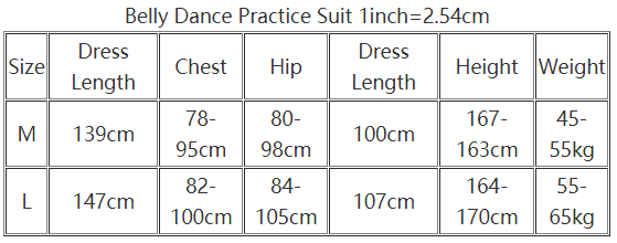 Belly Dance Practice Clothes Dress for Women Mesh Baladi Shaabi Said Performance Clothing Girl's Oriental Bellydancer's dresses