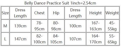 Belly Dance Practice Clothes Dress for Women Mesh Baladi Shaabi Said Performance Clothing Girl's Oriental Bellydancer's dresses